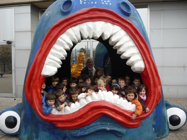 grup aquarium bloc