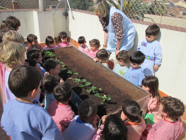 Activitat a l'hort 012 BLOC