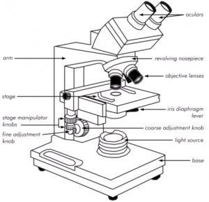 microscope_2