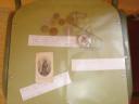 dsc032751.jpg