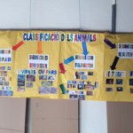 CLASSIFICACIÓ DELS ANIMALS