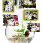 captura-de-pantalla-2017-03-10-a-les-20-00-22