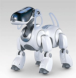 aibo