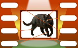 Do you like cat's. Why don’t you try to label the body parts on this pet cat?