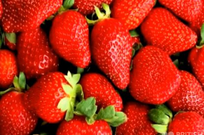 Listen to John, Owen and Lily talking about their favourite food.