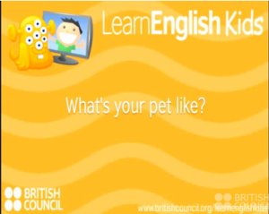 Lily has got a hamster, and Owen has got a pretend pet. He'd also like a hamster. Listen to Lily and Owen talking about pets.