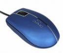 mouse.jpg
