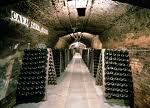 L'interior de les Caves Codorniu.