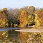 autumn2