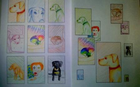 IMG_20170529_223211 (2)