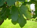 dscn5780.JPG