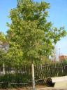 dscn5784.JPG
