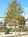 dscn5788.JPG