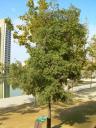dscn5790.JPG