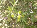 dscn5791.JPG