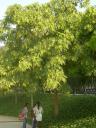 dscn5793.JPG