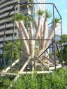 dscn5794.JPG