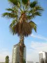 dscn5795.JPG