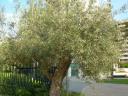 dscn5796.JPG