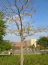 dscn5797.JPG