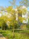 dscn5798.JPG