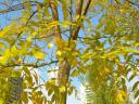 dscn5799.JPG
