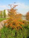 dscn5800.JPG