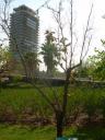 dscn5801.JPG