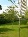 dscn5802.JPG