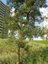 dscn5803.JPG