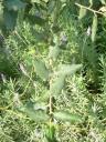 dscn5805.JPG