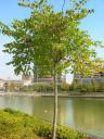 dscn5806.JPG
