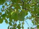dscn5807.JPG