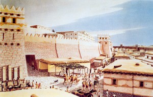 T6.ciutadella