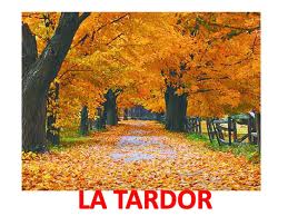LA TARDOR