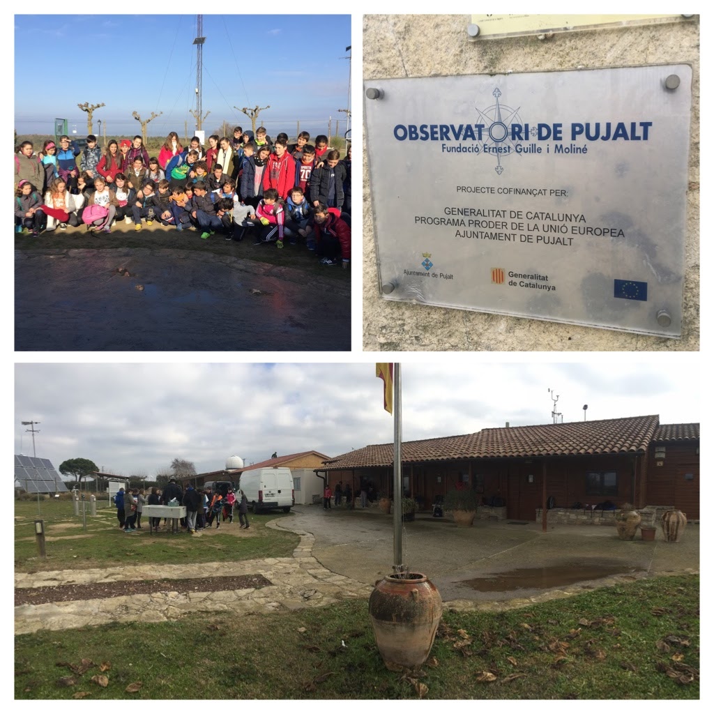 215ebdc0-7197-4f58-a109-4d468ebdd58d-collage