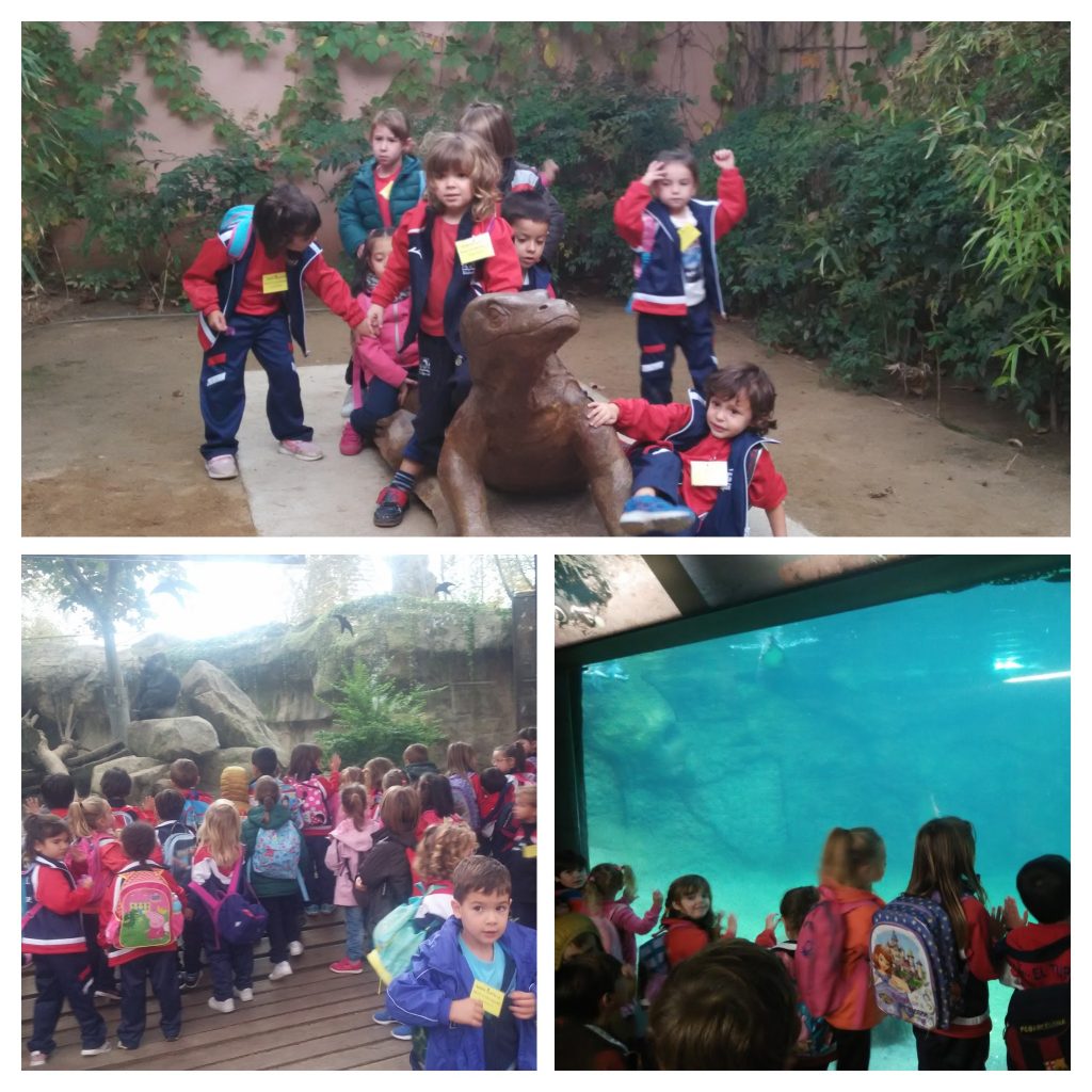 20161020_105151-collage