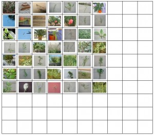 diversiquadre-totes-escoles-ii