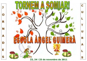 Fase del SOMNI