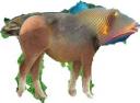julia-i-mariona-animalot.jpg