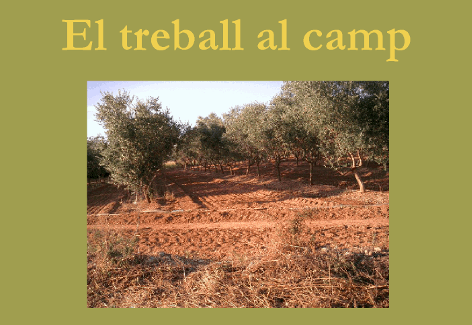 camp