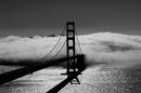 estructures_pont