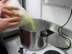 ---mongeta tendra i patata 029