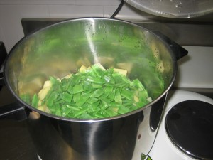 ---mongeta tendra i patata 031