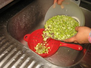 ----AMANIDA DE MACARRONS AMB BRÒQUIL 020