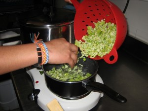 ----AMANIDA DE MACARRONS AMB BRÒQUIL 023