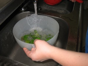 ----AMANIDA DE MACARRONS AMB BRÒQUIL 035