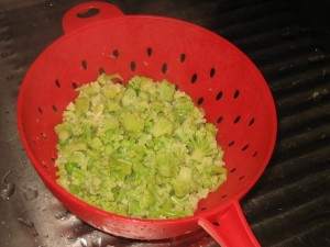 ---AMANIDA DE MACARRONS AMB BRÒQUIL 042