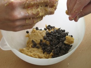 ----cookies de xocolata 028