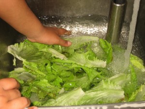 ----amanida de l'hort 006